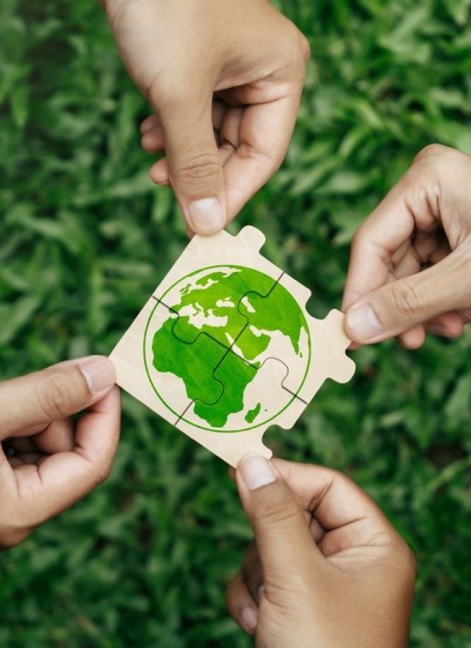 Hands Holding Globe